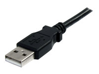StarTech.com Câble d'extension USB Type-A de 3 m - M/F - Rallonge USB-A - Noir (USBEXTAA10BK) - Rallonge de câble USB - USB (M) pour USB (F) - USB 2.0 - 3 m - noir - pour P/N: 35FCREADBK3, ICUSB2321F, ICUSB232PRO, ICUSB232V2, LTUB1MBK, MSDREADU2OTG, UUSBOTG USBEXTAA10BK