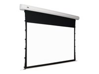 Oray Orion Tensioned - Écran de projection - montable au plafond, montable sur mur - motorisé - 177" (450 cm) - 16:9 - blanc mat - blanc ORI03B1225400