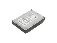 Lenovo - Disque dur - 1 To - interne - 3.5" - SATA 3Gb/s - 7200 tours/min - mémoire tampon : 32 Mo 45J7918