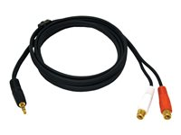 C2G Value Series Y-Cable - Câble audio - RCA femelle pour mini-phone stereo 3.5 mm mâle - 2 m - blindé - noir 80136