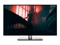 Lenovo ThinkVision P27h-30 - écran LED - QHD - 27" - avec ThinkVision MC 60 monitor webcam 63A1ZAT1EU