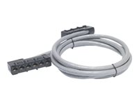 APC Data Distribution Cable - Câble réseau - Conformité TAA - RJ-45 (F) pour RJ-45 (F) - 5.7 m - UTP - CAT 5e - colonne montante - gris DDCC5E-019