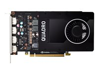 NVIDIA Quadro P2200 - Carte graphique - Quadro P2200 - 5 Go GDDR5X - PCIe 3.0 x16 - 4 x DisplayPort - Pour la vente au détail VCQP2200-PB