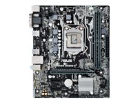 ASUS PRIME B250M-K - Carte-mère - micro ATX - Socket LGA1151 - B250 - USB 3.0 - Gigabit LAN - carte graphique embarquée (unité centrale requise) - audio HD (8 canaux) PRIME B250M-K