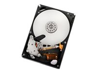 WD Ultrastar A7K2000 HUA722050CLA330 - Disque dur - 500 Go - interne - 3.5" - SATA 3Gb/s - 7200 tours/min - mémoire tampon : 32 Mo 0F11000