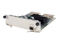 HPE Hardware Interface Module - Module d'extension - OC-48/STM-16 - pour HPE 6602, 6604, 6608, 6616 JC494A