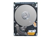 Dell Customer Kit - Disque dur - 1 To - échangeable à chaud - 2.5" - SAS 12Gb/s - NL - 7200 tours/min 400-ATJD