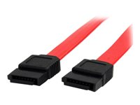 StarTech.com Câble SATA de 15 cm - Cordon Serial ATA en rouge - Câble SATA - Serial ATA 150/300 - SATA (F) pour SATA (F) - 15 cm - rouge - pour P/N: 10P6G-PCIE-SATA-CARD, 2P6G-PCIE-SATA-CARD, 4P6G-PCIE-SATA-CARD, 6P6G-PCIE-SATA-CARD SATA6