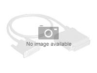 HPE Mini-SAS Cable Kit - Kit de câbles internes SAS - pour ProLiant ML110 Gen9, ML30 Gen9 789648-B21